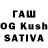 Псилоцибиновые грибы GOLDEN TEACHER BANDIDI