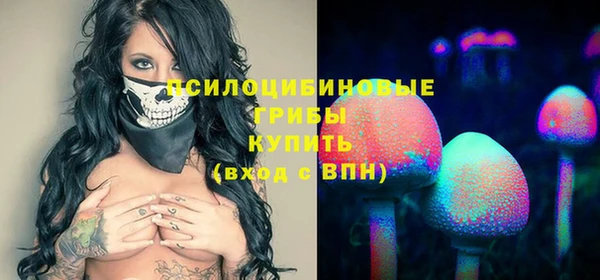 эйфоретик Абаза